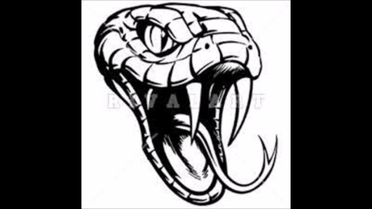 Watch Willie beam'n - snakes on YouTube Watch Willie beam'n - snakes on YouTube