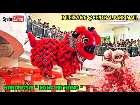 Acrobatic Lion Dance by Khuan Loke 群乐 高桩舞狮 @ Berkeley Uptown 橙红双狮 双狮地青 醒狮旺屋 鼓乐助庆 四方拋金 民间传统