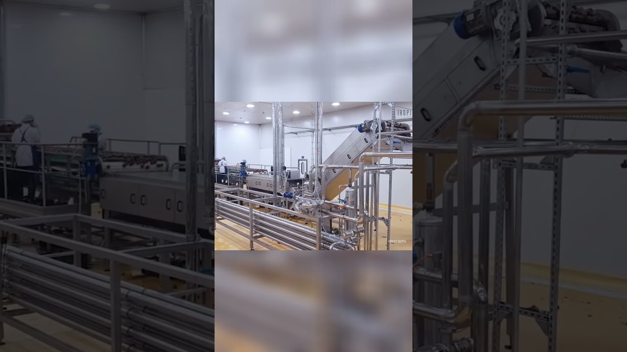 Fruit Factory Secrets: How Tropical Fruits Are Processed!