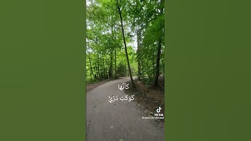 سورة النور #سورة_النور #محمد_صديق_المنشاوي #قران_كريم #youtube #quran #اكسبلور #explore #yt