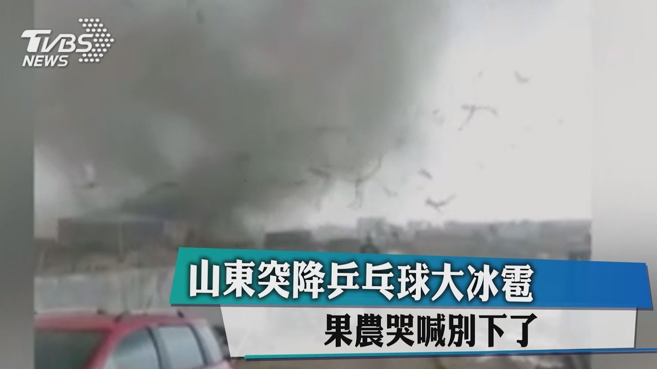 山東突降乒乓球大冰雹 果農哭喊別下了