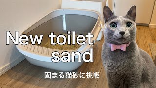 #37【猫のトイレ】Newトイレと固まる猫砂買いました