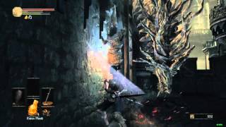 Dark Souls 3 - Ragdolls