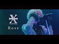 luz 5th TOUR -ELEVEN- 「Rose」live ver.