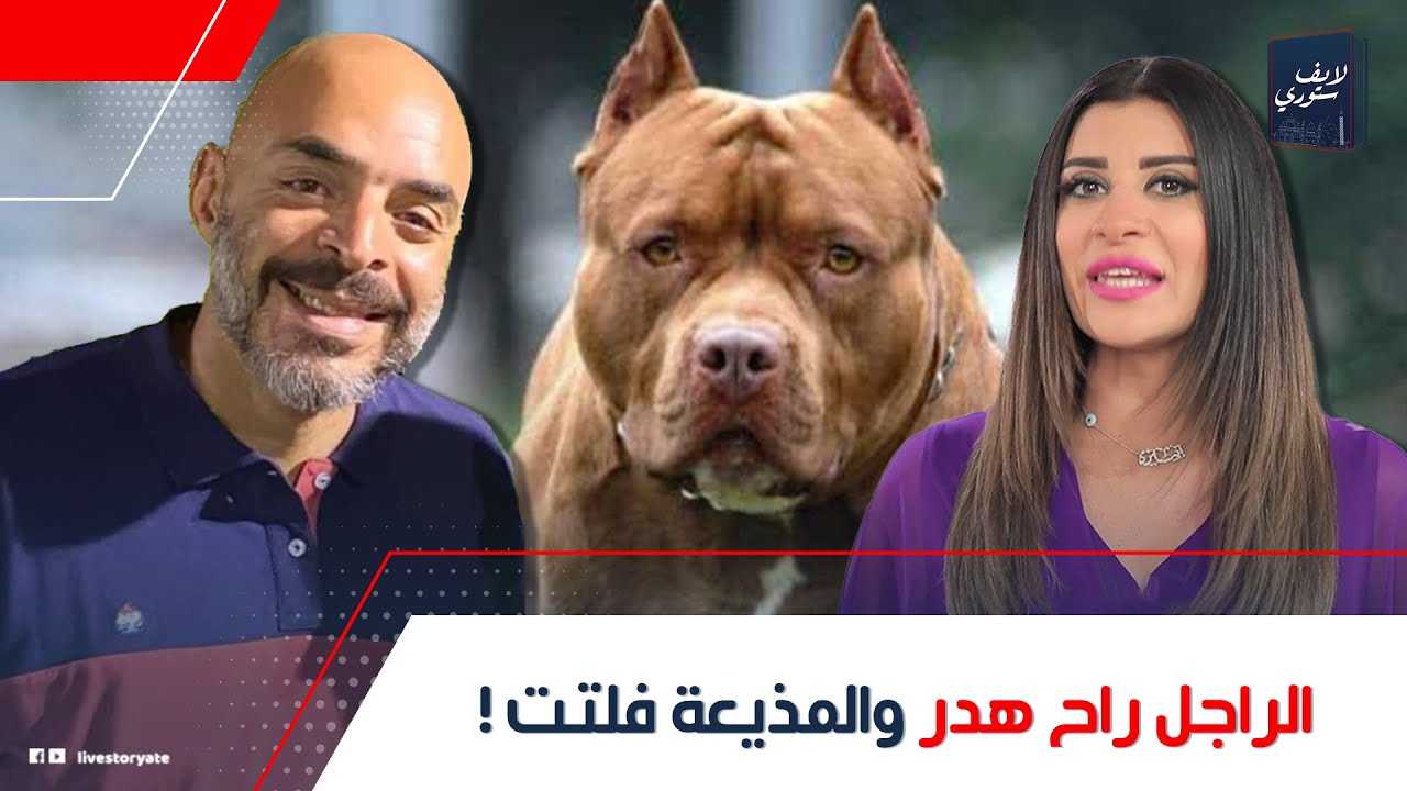 محمد محب راح هدر.. مفاجأة عن مصير المذيعة أميرة شنب بعد رحيل مدير البنك بسبب كلبها: إزاي خرجت منها؟