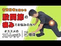 股関節の痛みでお悩みの方へオススメのストレッチ【5種目】