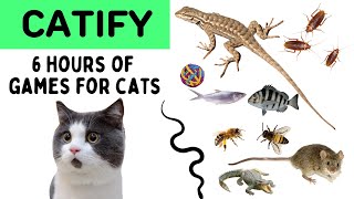 Cat Games - [6 HOURS - ]Mega Compilation Video for Cats to Watch - Mice, Fish, Bee, Cockroach... screenshot 3