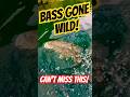 You Can’t Miss This… Bass Goes Wild Underwater!#fishing #shorts #bassfishing #jazz #バス釣り #フーミン