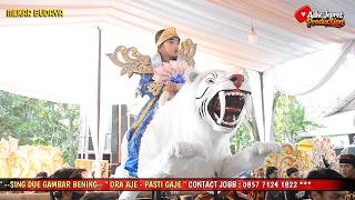 PANORAMA DANCE _ ELIS // MEKAR BUDAYA - OM DAYAT // AJ PRODUCTION HD // MANGGUNG JAYA 07-08-2026