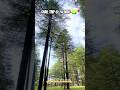 Chail Budget Trip Under ₹4500 | Saste Safar #budgettravelindia