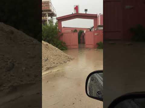 شرايكم نبي نوصل الف مشترك 