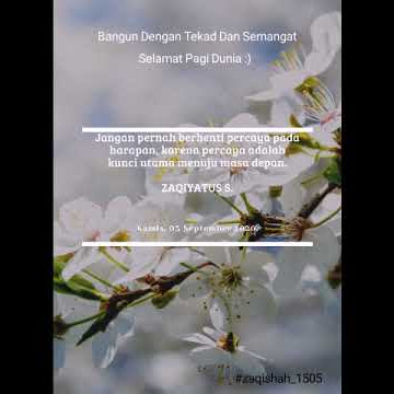 Ucapan Selamat Pagi | Story Wa Religi Versi Sholawat | Ya Habibal Qolbi | Story WhatsApp Islami