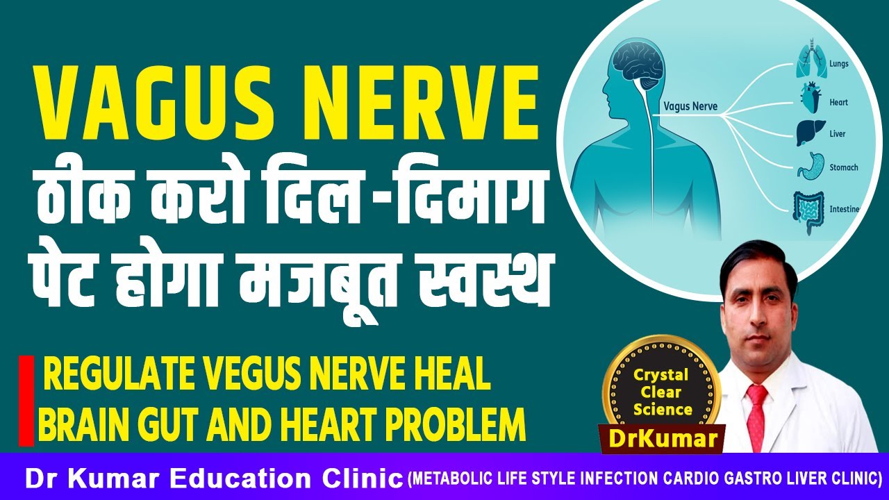 Vagus Nerveठीक करो दिल -दिमाग- पेट होगा मजबूत स्वस्थ//REGULATE VEGUS NERVE HEAL BRAIN GUT AND HEART
