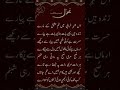 اس شہر خرابی میں غم عشق کے مارے حبیب جالب کی مکمل غزل     