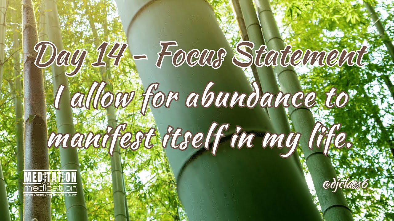 Day 14   Our Daily Zen Meditation Video