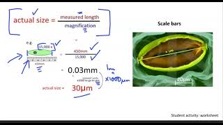 02a  Magnification