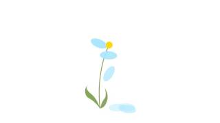 Motion Design: Flower Animation