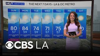 Chloe Carlson's 6 a.m. Forecast | NEXT Weather