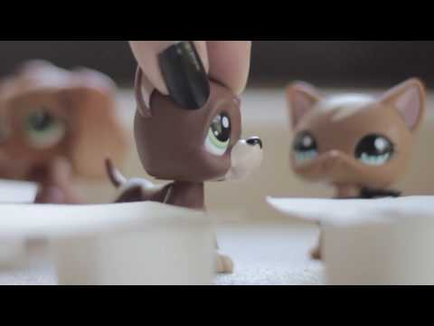 Littlest Pet Shop: Stardom Rivalry Ep. 7 (Make Up For What You Did.)