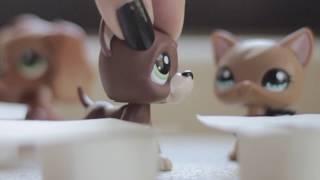 Littlest Pet Shop Stardom Rivalry Ep. 7 Make Up For What You Did.