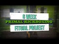 Primal kickboxing  6 week fitgirl project