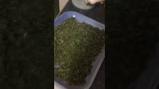 Making canna butter 🤩 part 1