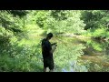 Creek side Fishing Pennsylvania…