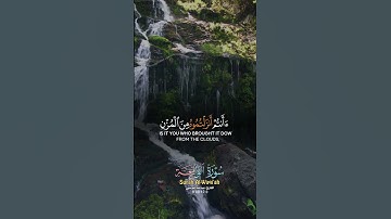 سورة الواقعه /القارئ:عبدالله الموسى