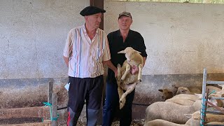 "Ser ganadero hoy en día es más fácil que hace 30 años"
