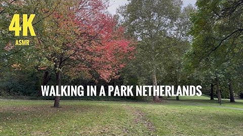 Relax walking in a park Netherlands |4K ASMR