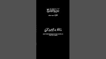 🌿|تِــــلاوَة ما تيسّر من سُورَةُ الفَتۡحِ. #اللهم_صل_على_نبينا_محمد#quran #القرآن_الكريم#سورة_الفتح