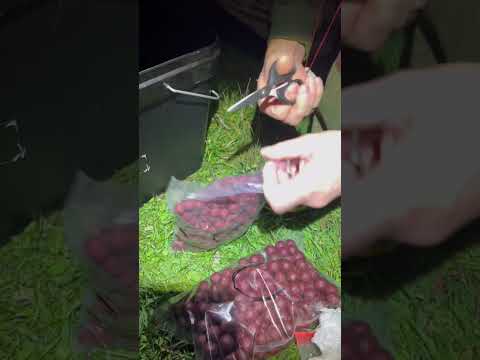 #onlycarp #foryou #boilies