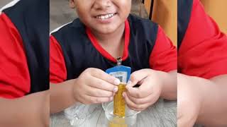 Penyerapan Sains Tahun 1 - Cikgu Olin
