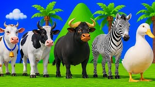 Long Slide Game With Tigers Lion Cow Hippopotamus Gorilla 3d Animal Game Funny 3d Animals