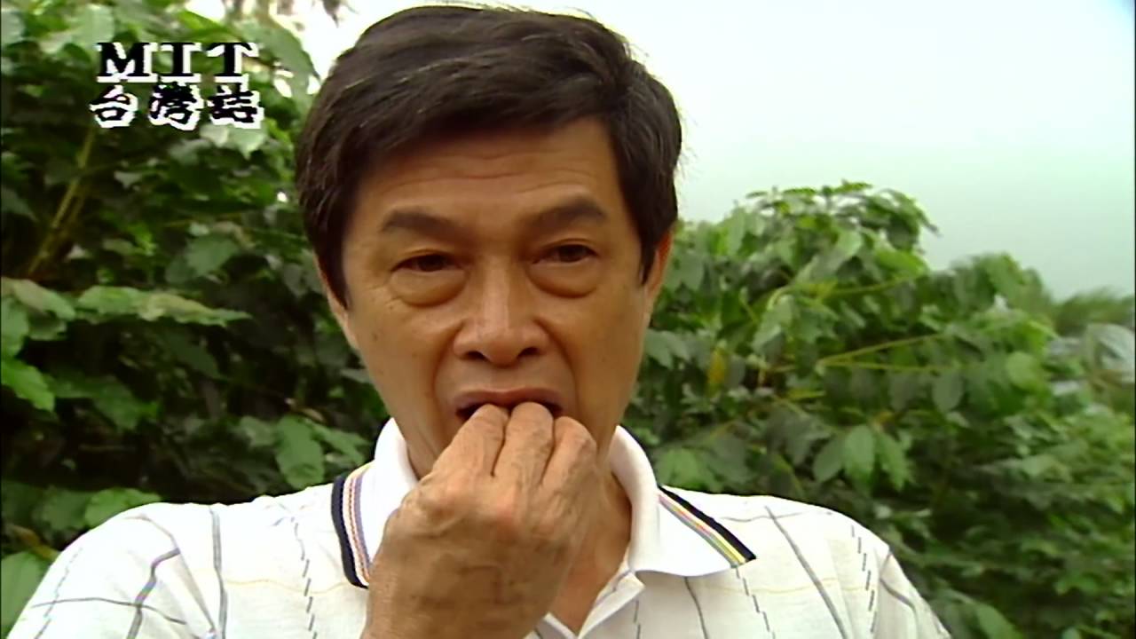 【MIT台灣誌 #81】古坑百年咖啡記事