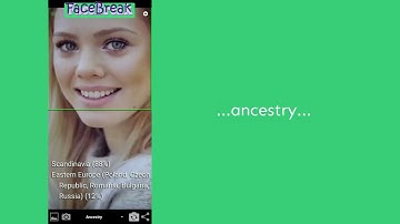 FaceBreak - A.I. Face Analysis