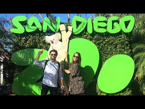 Video: Los Angeles'ta hayvanat bahçesi