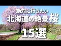 【完全保存版】絶対に外せない北海道の絶景桜スポット15選 【お花見】