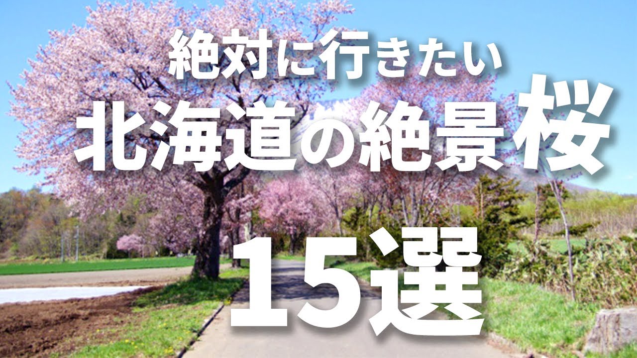【完全保存版】絶対に外せない北海道の絶景桜スポット15選　【お花見】