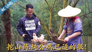 去山药兄弟家串门，先上山挖山药，再搞个6斤多的大公鸡做成柴火鸡，敞开了吃，巴适得板！