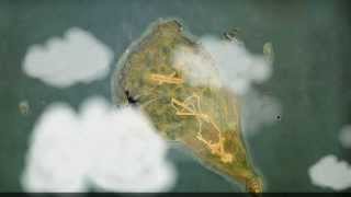 World of Planes Live Wallpaper [Android] screenshot 5