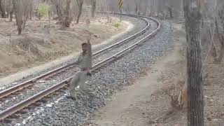 Train driver stops the Train to save Lion। Gujarat Viral Video