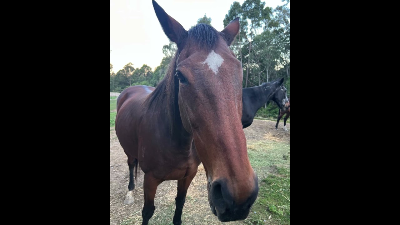 Spiritual Alchemy Highlights August 2025