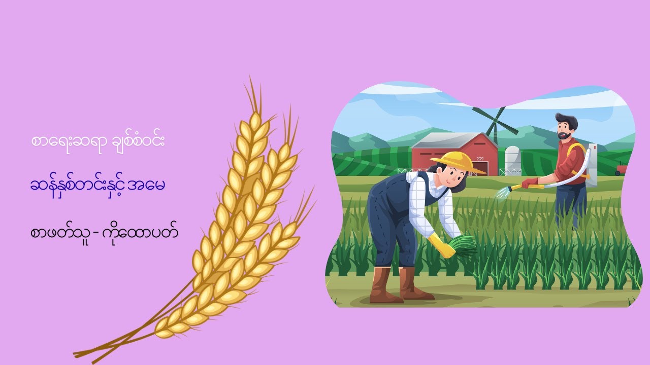 ဆန်နှစ်တင်းနှင့် အမေ