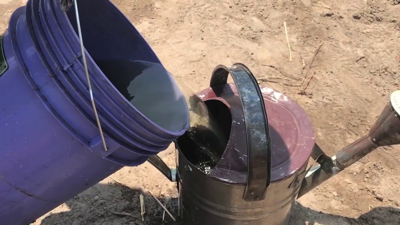 MAANDALIZI YA VITALU NA KUSIA MBEGU ZA TUMBAKU