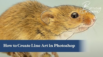How to Create Line Art Using Photoshop | Top Tips