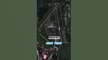 What’s the Deal When a Black Cat Crosses the Runway/ ATC Recording #aviation