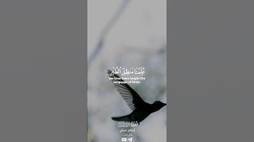 قرآن بصوت إسلام صبحي من سورة النمل #quran #اسلام_صبحي