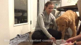 How to safely induce vomiting in a dog by Kate Friedl 376,437 views 6 years ago 3 minutes, 53 seconds