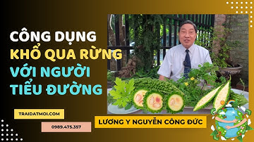 KHỔ QUA RỪNG: LƯƠNG Y NGUYỄN CÔNG ĐỨC - TIỂU ĐƯỜNG
